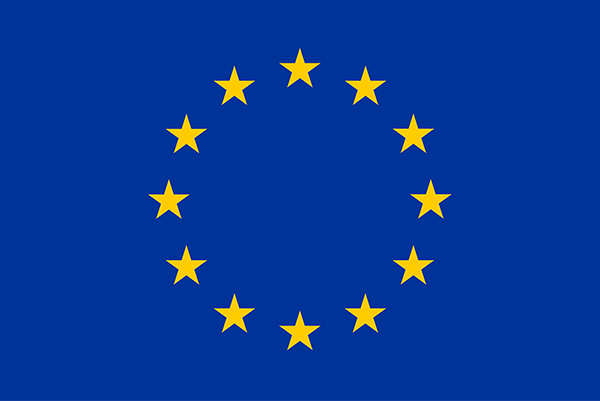 Bandiera dell’Unione europea
